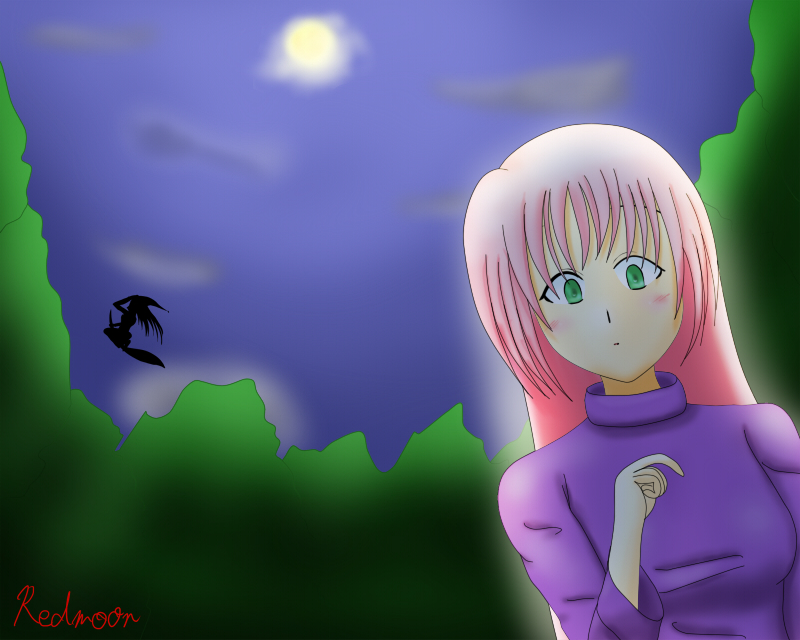 fullmoon night